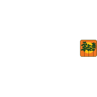 Wellington, Florida city seal